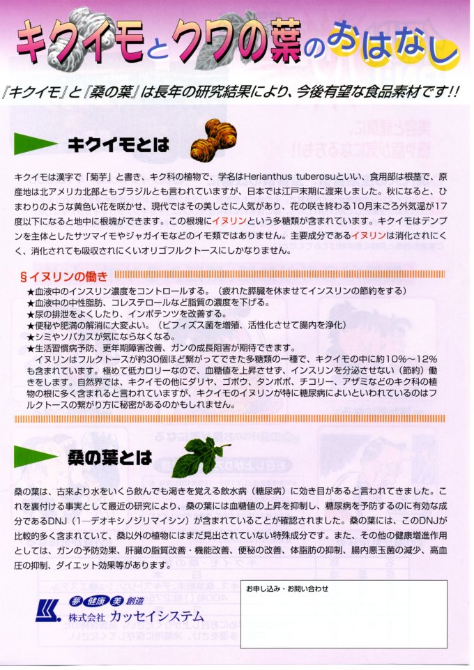 Dr.イヌリック 2